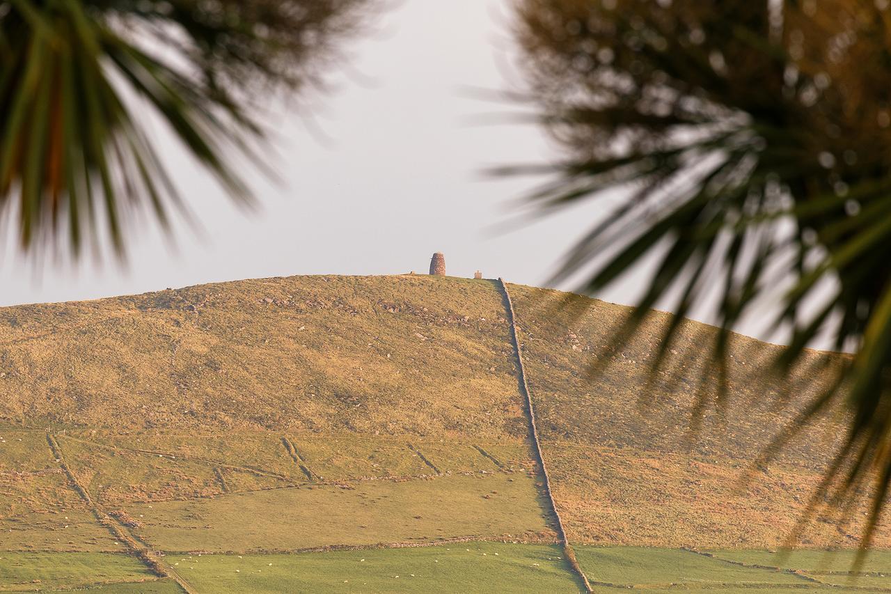 فندق Tower View دينغل المظهر الخارجي الصورة